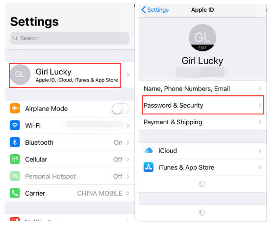 Set up Apple Two Factor Authentication