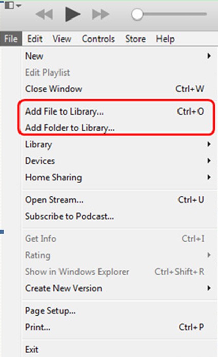 Add File to Library