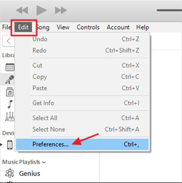 Click on the Preferences tab