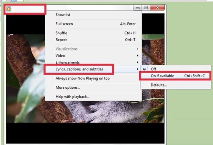 ventana maíz montar Solve Windows Media Player Subtitle Problems Now | Leawo Tutorial Center
