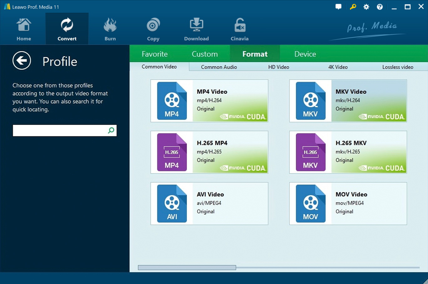  H264 视频到 hevc 选择格式 