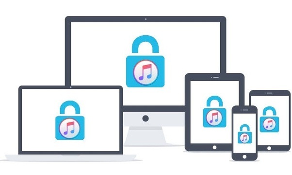 5 Most Widely Met DRM Types