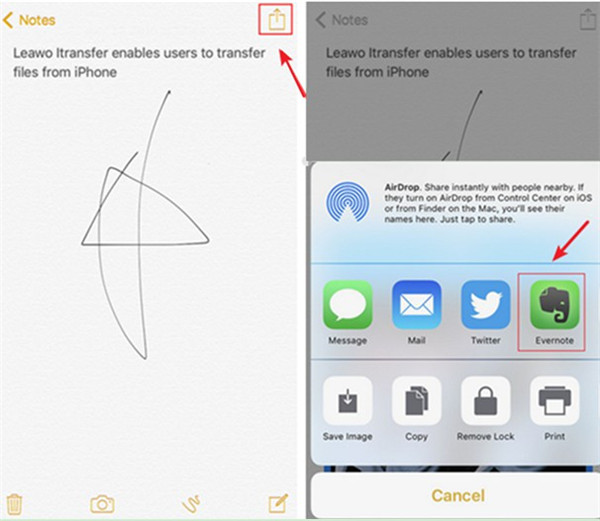 transfer-notes-to-Evernote-app-on-iPhone-1