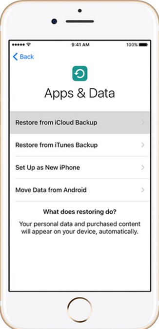 options-on-apps-data-screen-3