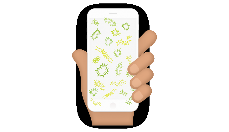 bacteria-on-phone