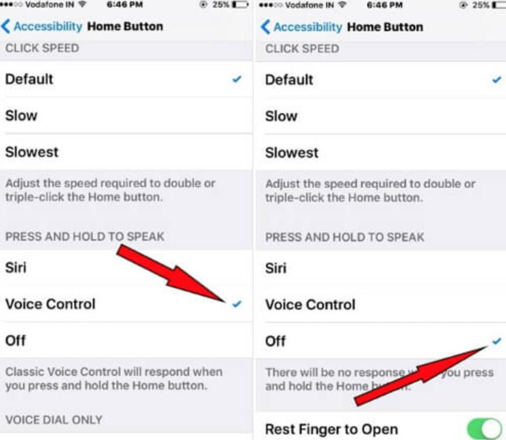 turn-off-voice-control