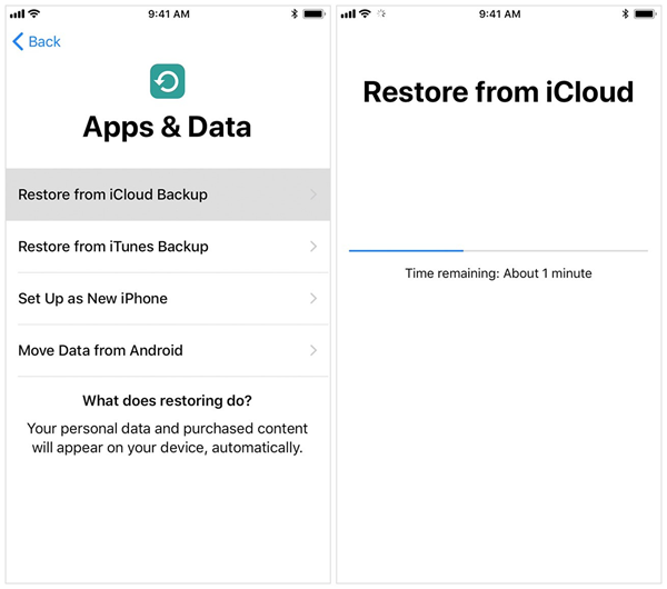 recover-data-from-icloud-backup-04