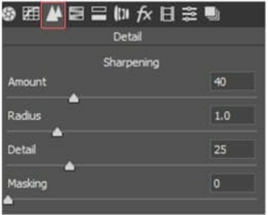 5-ways-to-sharpen-image-in-photoshop-camera-raw-detail-panel-7