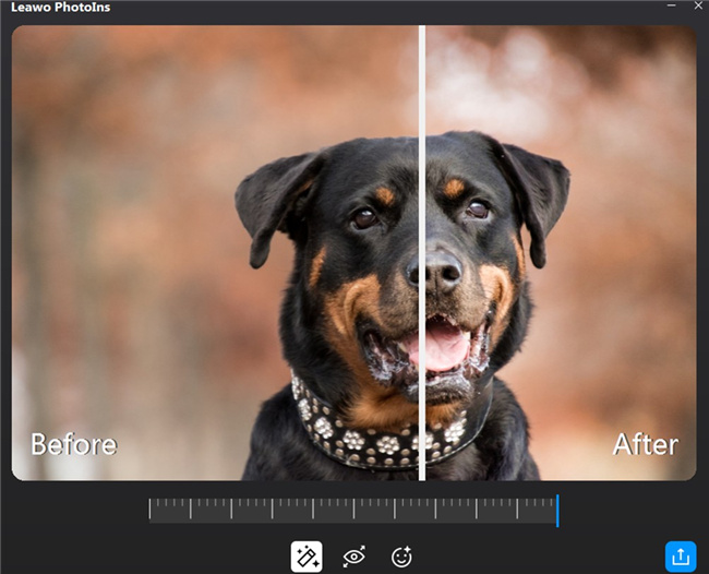 how-to-enhance-bokeh-effect-photos-on-computer-with-leawo-photoins-preview-11