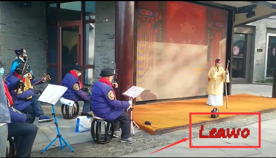  保护您的视频添加水印 