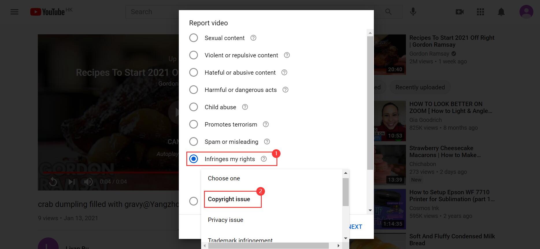  举报 YouTube 上被盗视频 