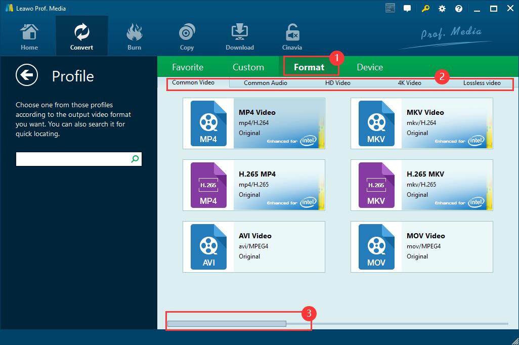  设置输出格式编辑视频 