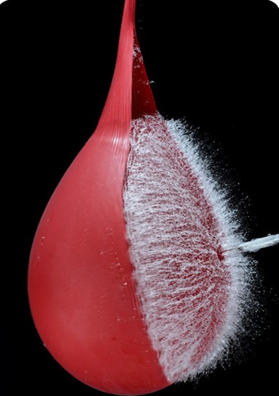 7-best-fast-shutter-speed-photography-examples-water-balloon-explosion-2