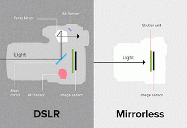 Mirrorless vs. DSLR Intro
