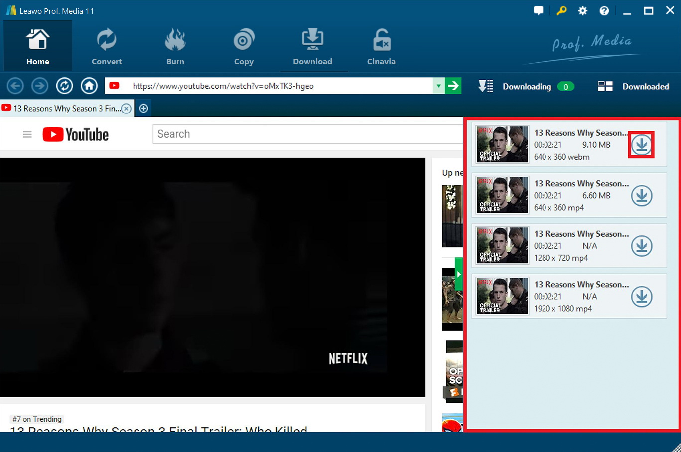 How-to-Save TikTok-without Watermark-different-format-04