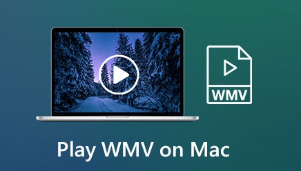 play-wmv-file-on-mac-Why-can't-You-Play-WMV-on-Mac 