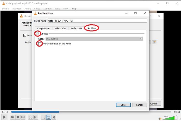  VLC字幕延迟勾选两个选项 