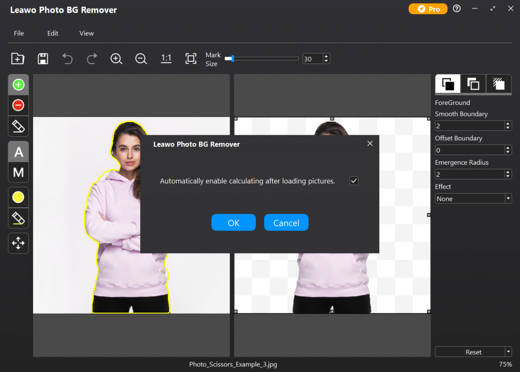 how-to-make-image-background-transparent-in-leawo-photo-bg-remover-edit-4