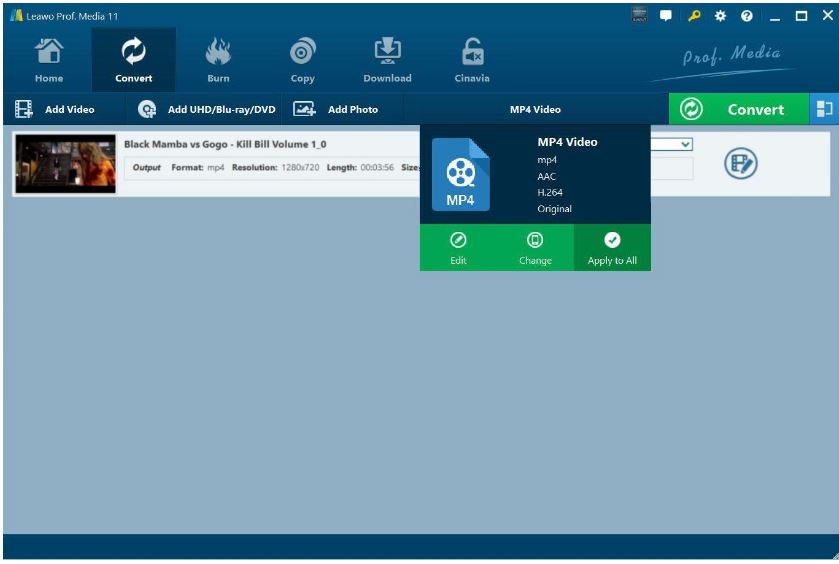  Spotify 播放清單選擇輸出格式 