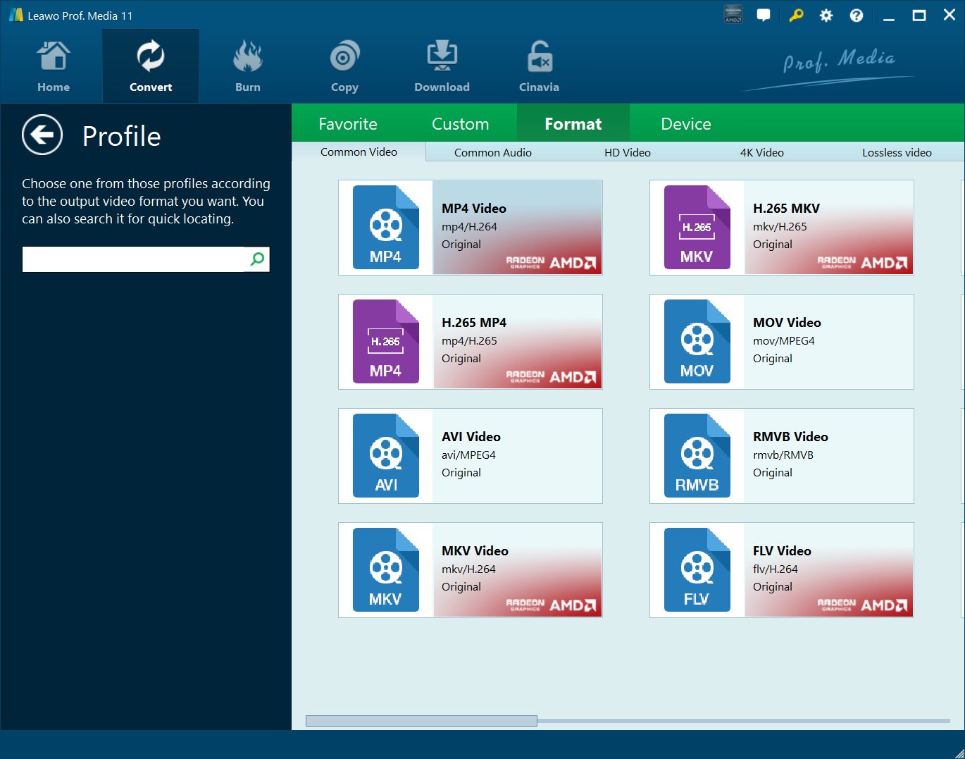 DVD 转微软 Surface