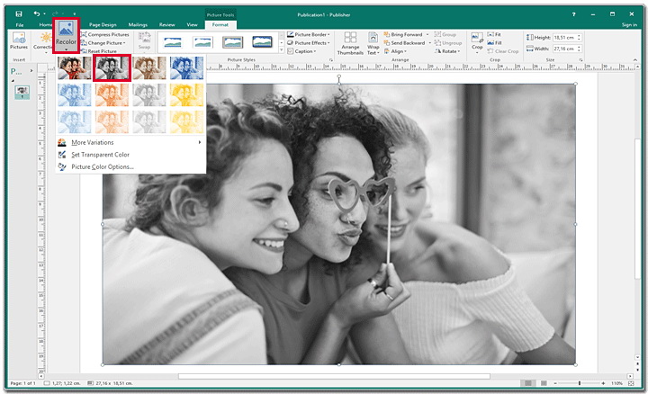 how-to-make-image-black-and-white-in-Microsoft-Publisher