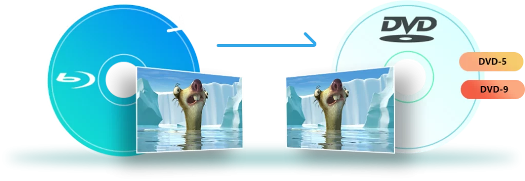 藍光到 DVD 轉檔器