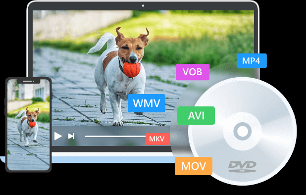 將照片刻錄到DVD