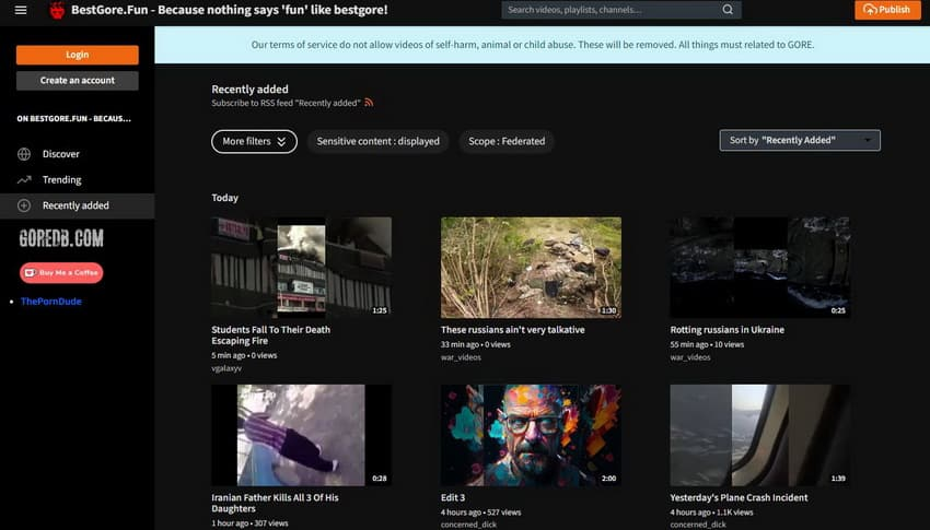 令人震惊的视频网站