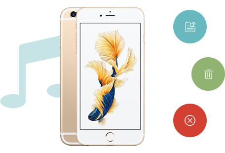 iPhone播放清單同步