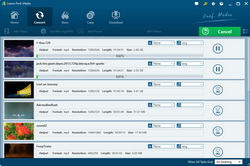 將 DVD 複製到 PC